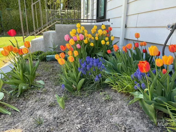 Twin Falls, ID 83301,227 Taylor St