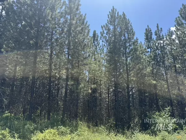 Orofino, ID 83544,665 Green Rd