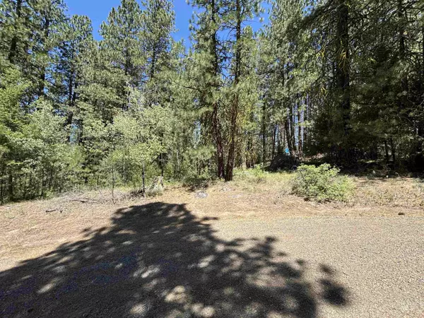 Cascade, ID 83611,TBD Frazier Pl