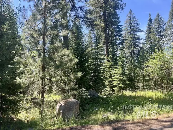 Mccall, ID 83638,TBD Lot 50 Majestic View Drive