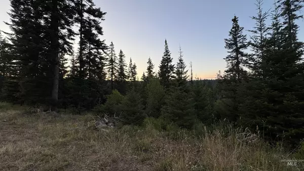 Orofino, ID 83530,1156 Huckleberry Butte  Rd