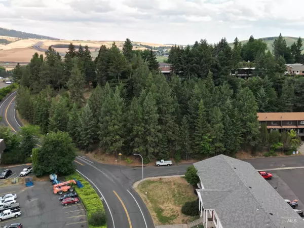 Moscow, ID 83843,457 Boyde Ave.
