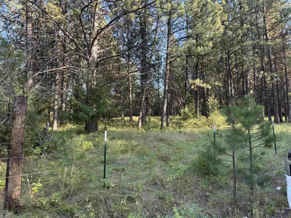 Asotin, WA 99402,TBD Harlow Ridge Rd - Cloverland Estates 27