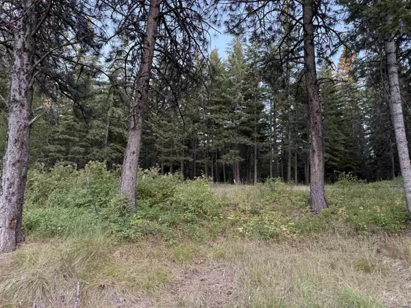 Asotin, WA 99402,TBD Harlow Ridge Rd - Cloverland Estates 27