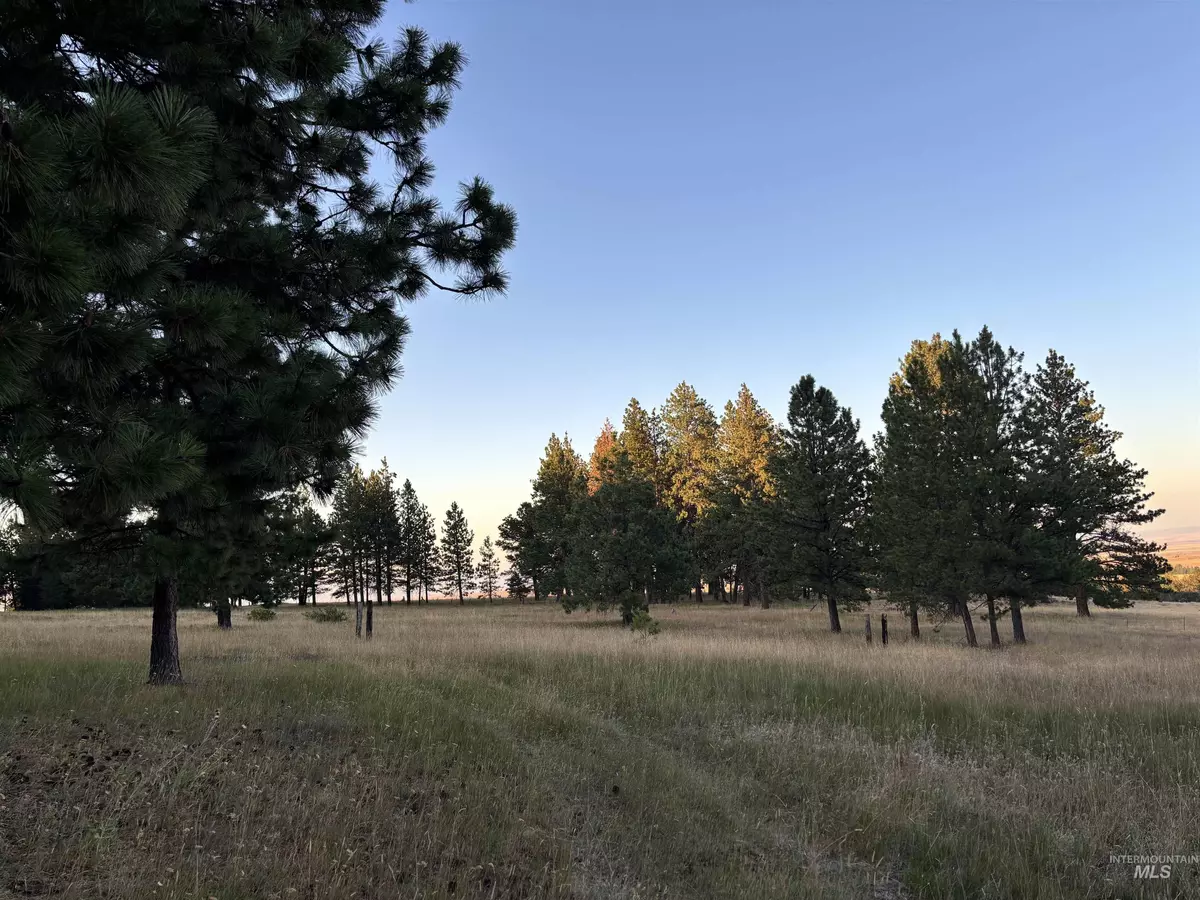 Asotin, WA 99402,TBD Harlow Ridge Rd - Cloverland Estates 35