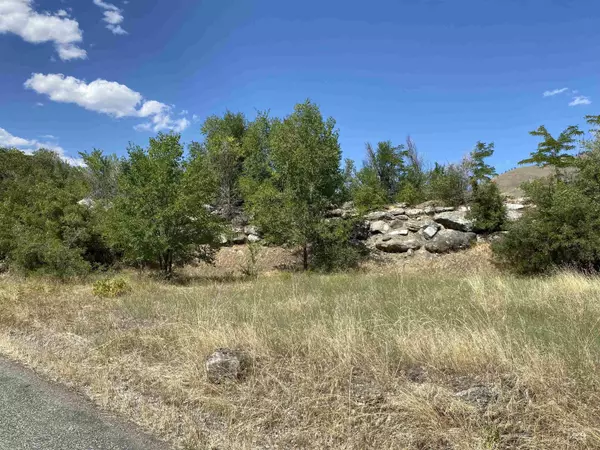 Lucile, ID 83542,TBD Lucile Road