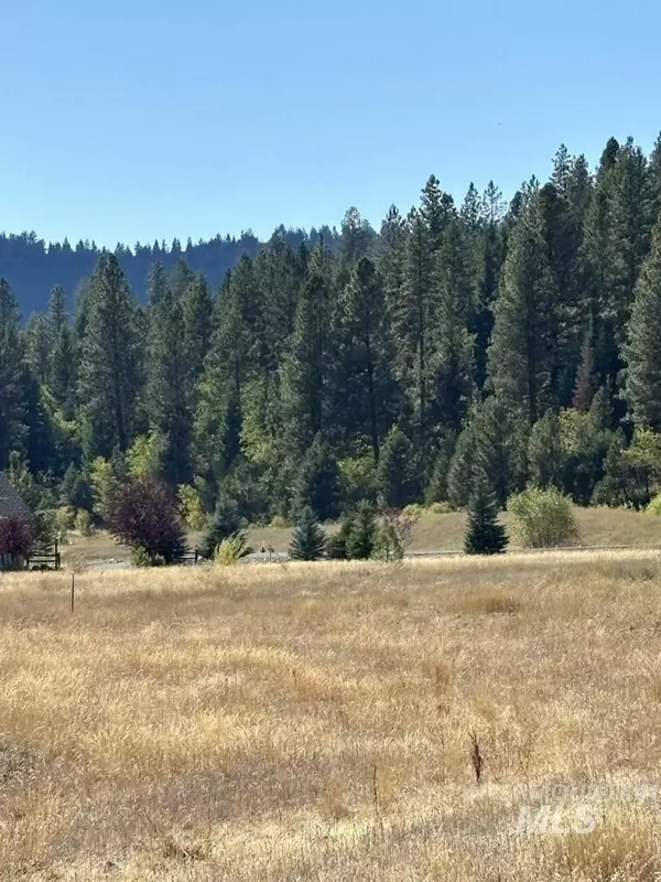 Mccall, ID 83638,13 Fawnlilly