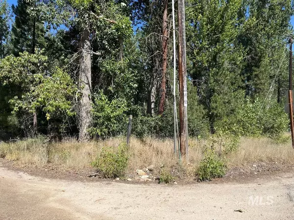 Idaho City, ID 83631,100 Placer