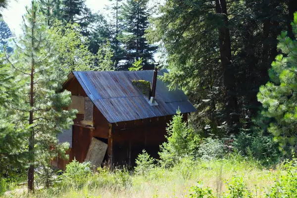 Donnelly, ID 83615,5 Tamarack Trail
