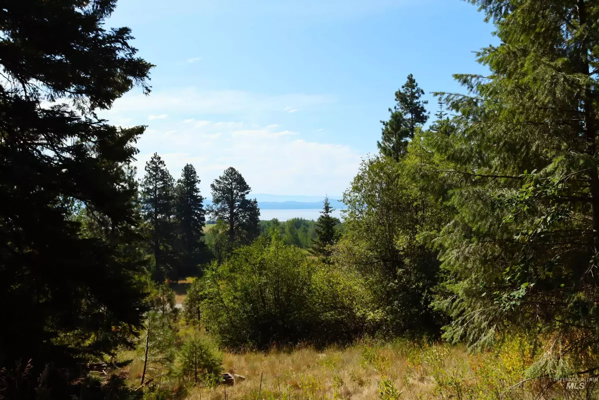 Donnelly, ID 83615,5 Tamarack Trail