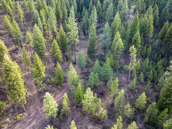 Placerville, ID 83666,Lot 17 Trail Creek Ct