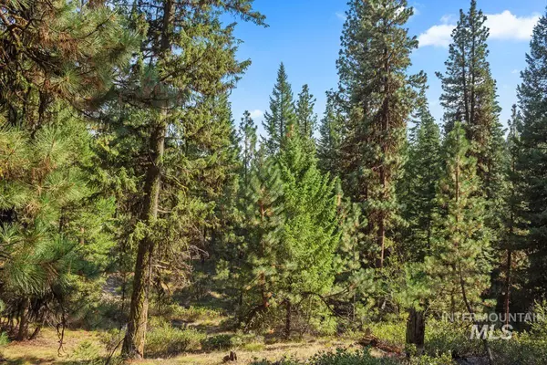 Cascade, ID 83611,140 Little Donner Drive