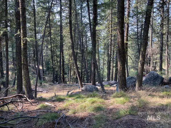 7 Frazier Place,  Cascade,  ID 83611