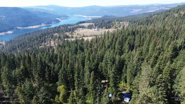 Orofino, ID 83544,1893 Tom Ho Rd