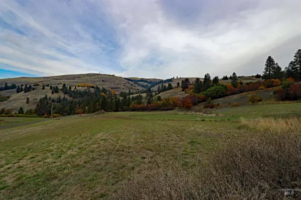 Lenore, ID 83541,19975 Orchard Lane