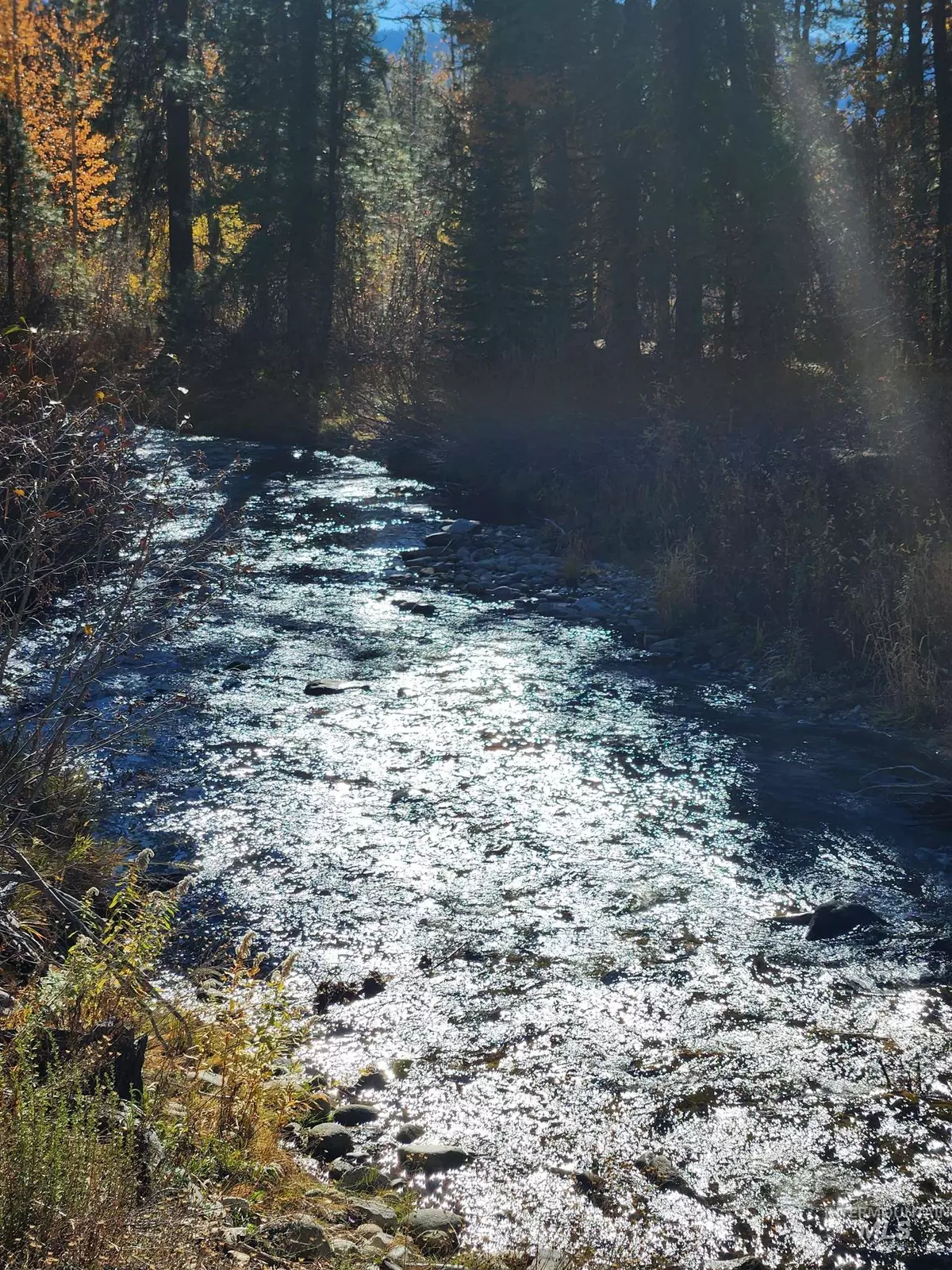 Featherville, ID 83647,TBD Trinity Creek Rd