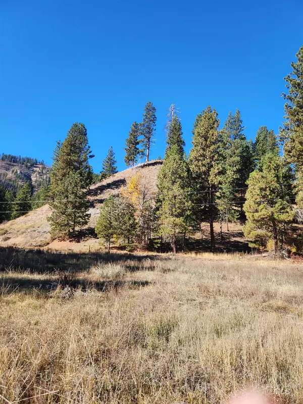 Featherville, ID 83647,TBD Trinity Creek Rd
