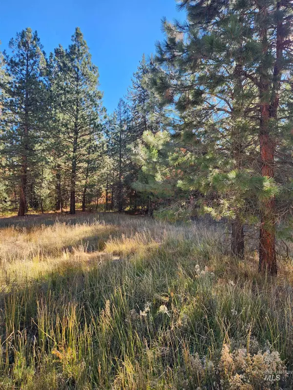 Featherville, ID 83647,TBD Trinity Creek Rd