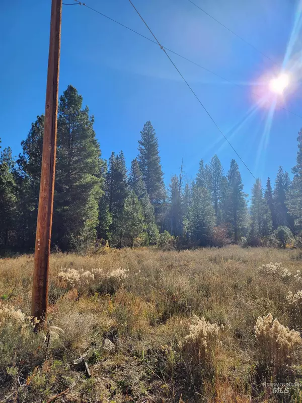 Featherville, ID 83647,TBD Trinity Creek Rd