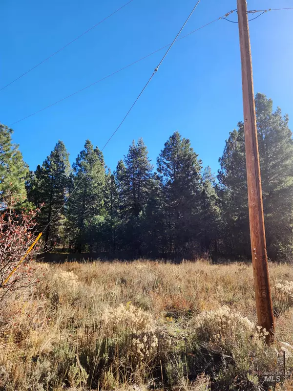 Featherville, ID 83647,TBD Trinity Creek Rd
