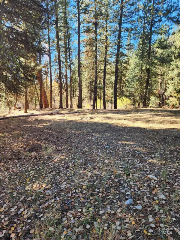 Featherville, ID 83647,TBD Trinity Creek Rd