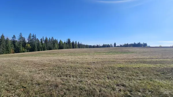 Lenore, ID 83541,TBD Freeman Ck