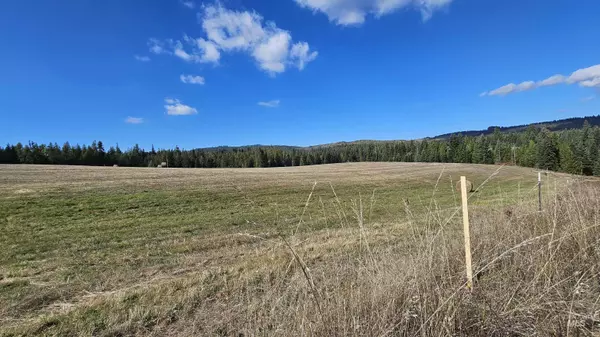 Lenore, ID 83541,TBD Freeman Ck