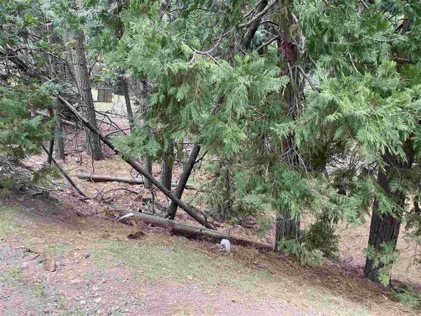 Sonora, CA 95370,23999 S Oxbow