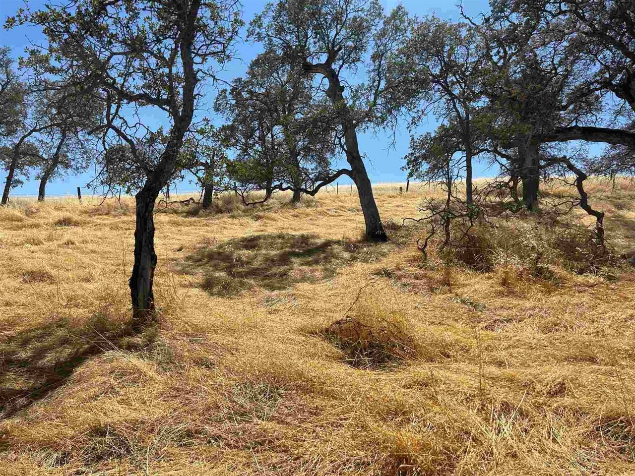 Copperopolis, CA 95228,5102 Fong