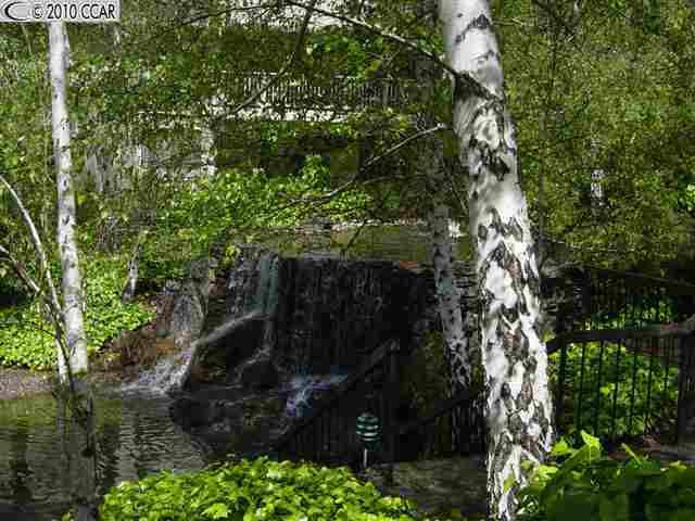 3142 ROSSMOOR PKWY #4, Walnut Creek, CA 94595