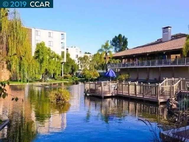 Walnut Creek, CA 94596,370 N Civic Dr #205