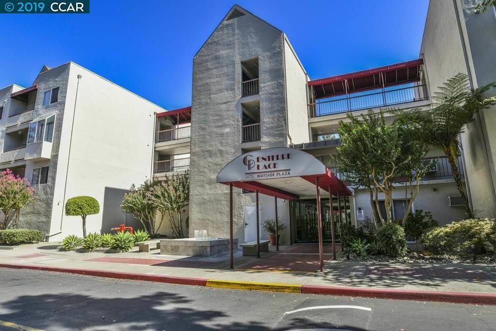 3173 Wayside Plaza #216, Walnut Creek, CA 94595
