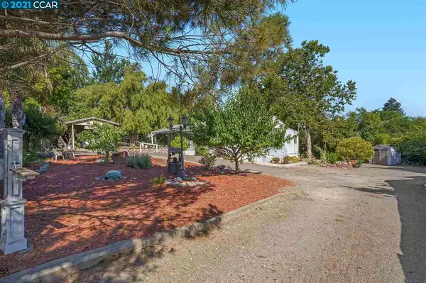 Castro Valley, CA 94546,17551 Almond Road