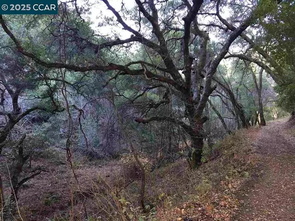 Alamo, CA 94507,Lark Ln