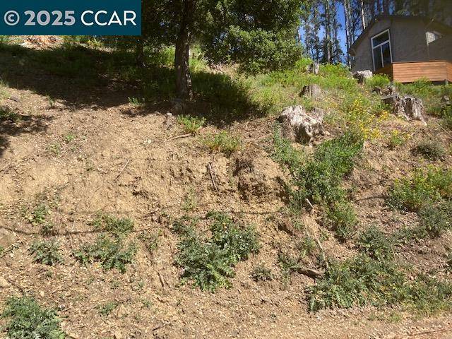 Oakland, CA 94611,0000 Woodrow Drive