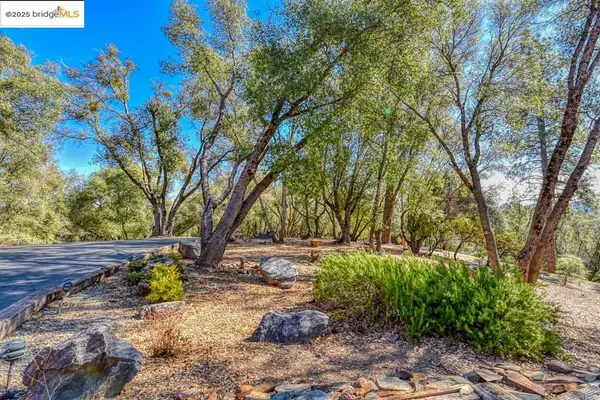 Groveland, CA 95321,20591 Chaparral