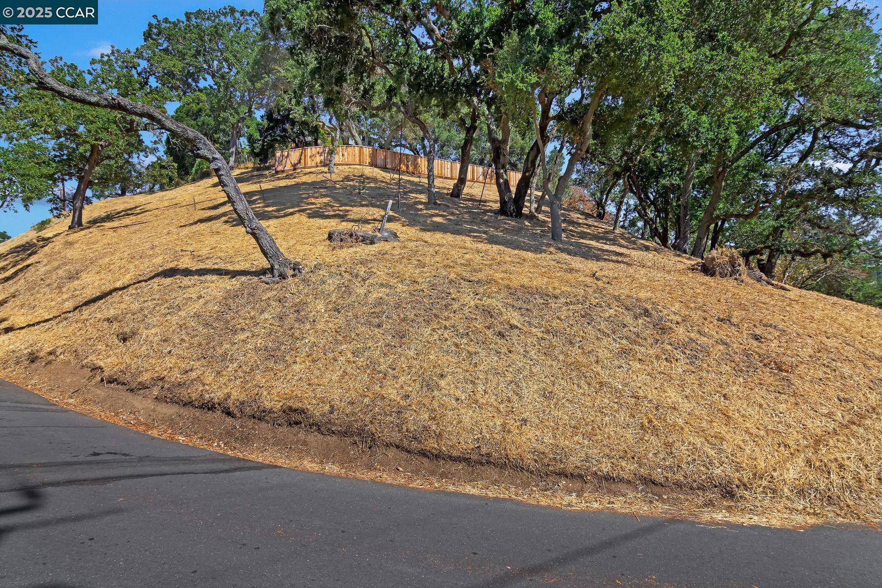 Orinda, CA 94563,161 Camino Don Miguel
