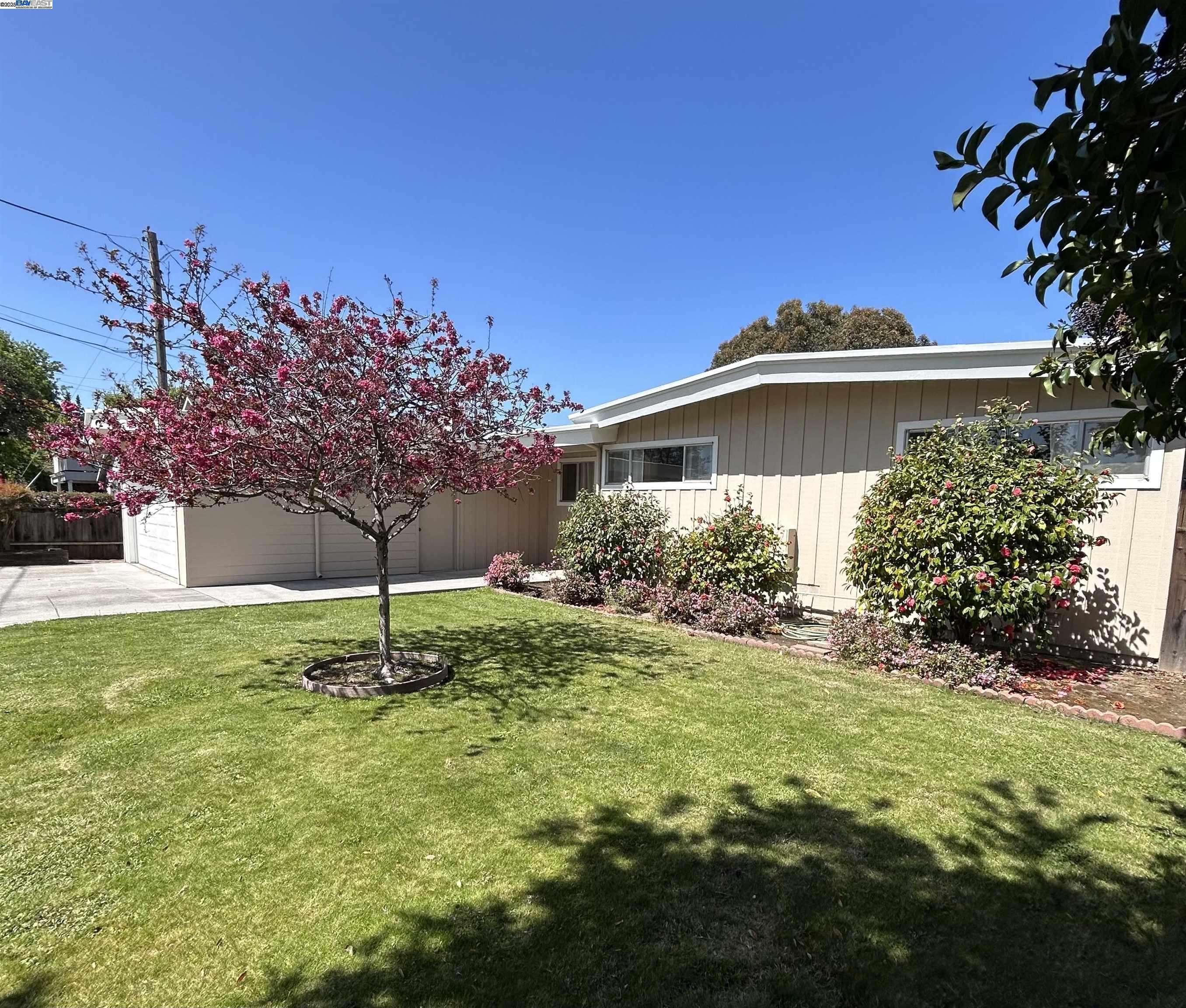 Fremont, CA 94536,449 Walnut Ave
