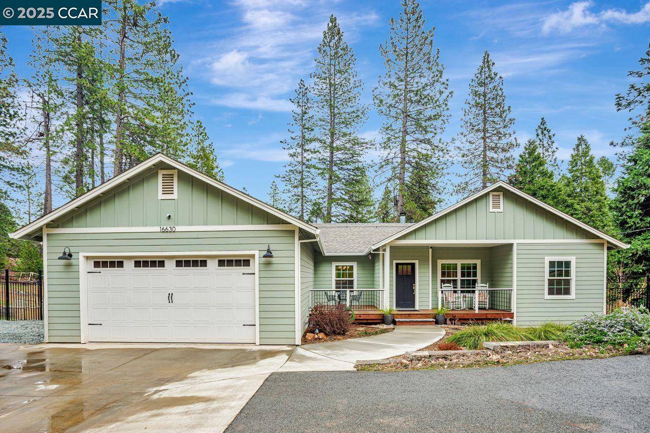 16630 Alpine Ln,  Pioneer,  CA 95666
