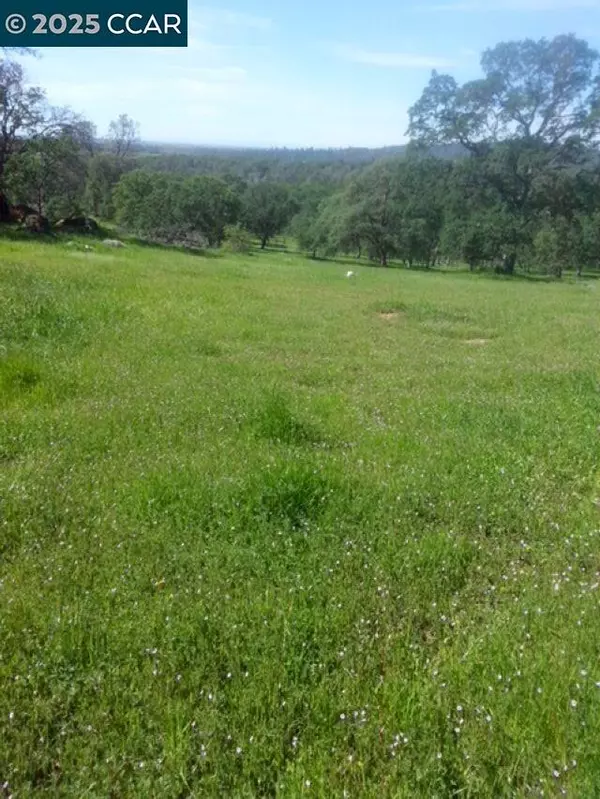 Browns Valley, CA 95918,56 Deer Hollow Trail
