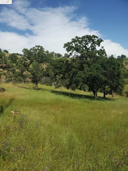 9696 Villarreal, La Grange, CA 95329