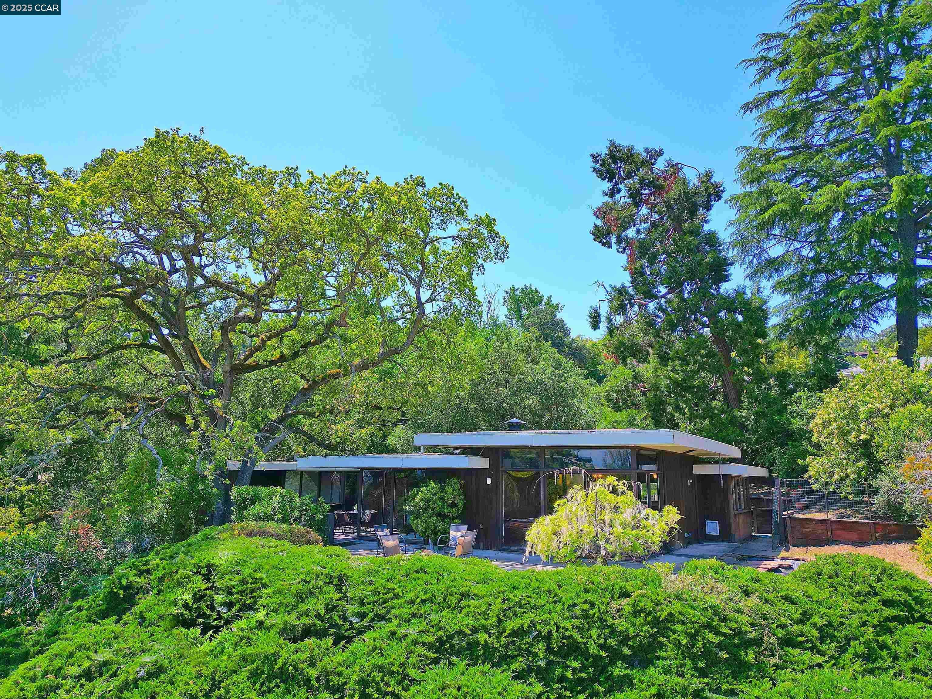58 Terrace Road, Walnut Creek, CA 94597