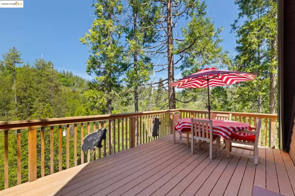 22059 Cedar Springs Rd, Twain Harte, CA 95383