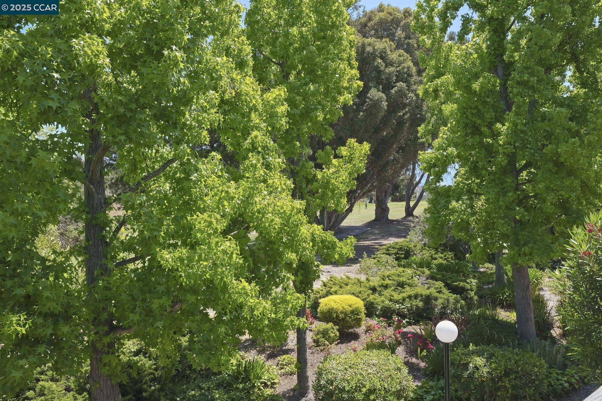 Walnut Creek, CA 94598,1447 Marchbanks Dr #3