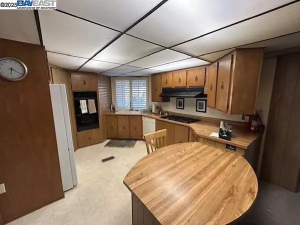 Hayward, CA 94544,29223 Whalebone Way