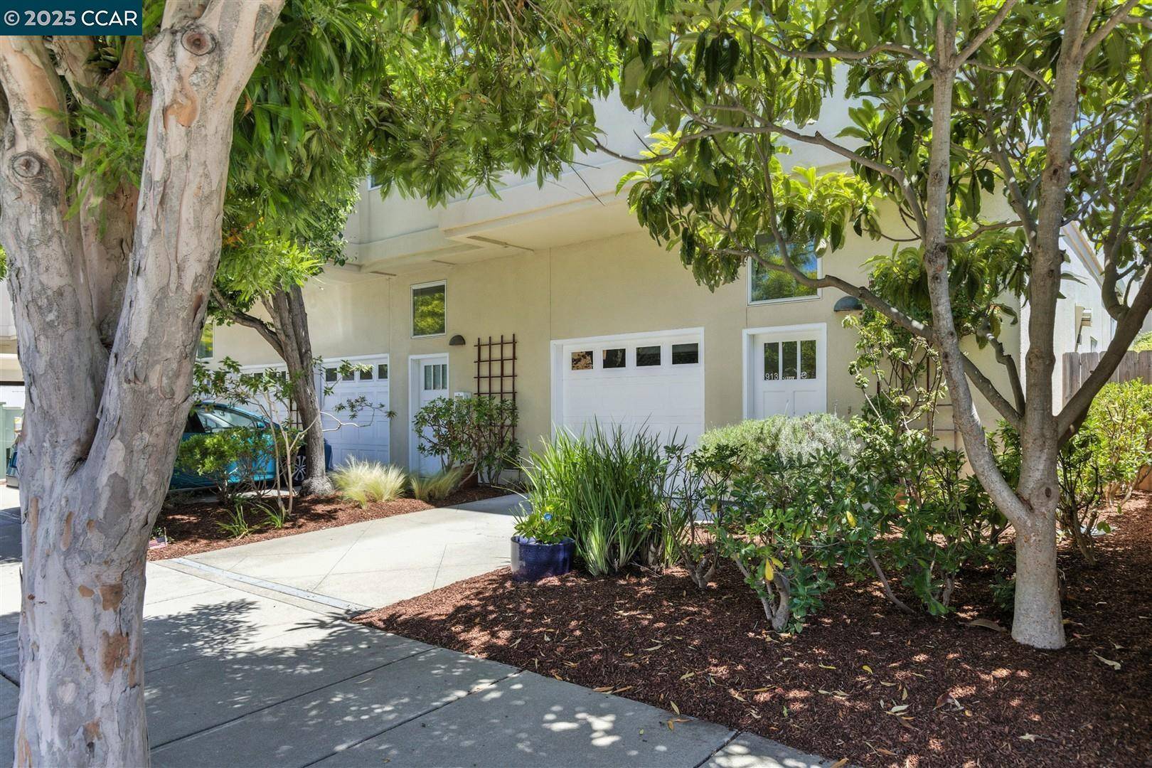 913 Adams St #C, Albany, CA 94706