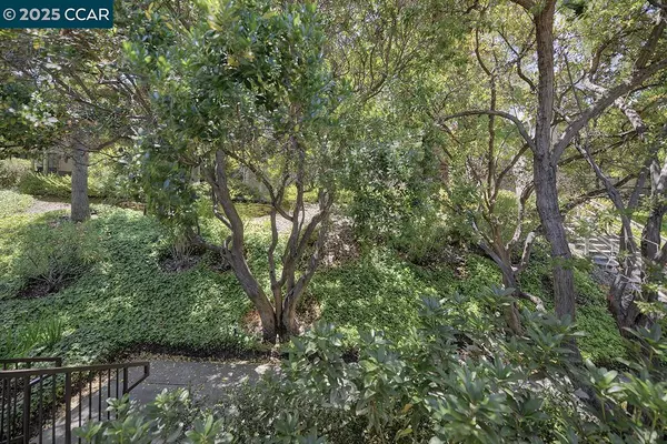 Walnut Creek, CA 94595,1333 Singingwood Ct #1