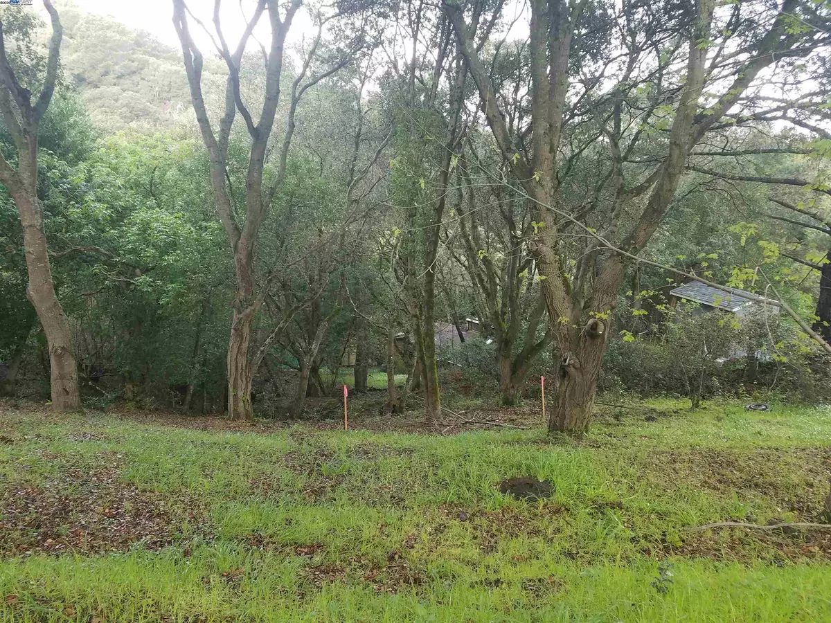 Orinda, CA 94563,12 Vista Del Orinda