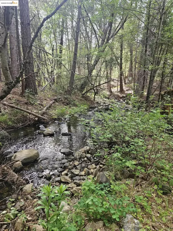 Twain Harte, CA 95383,00 Italian Bar Rd