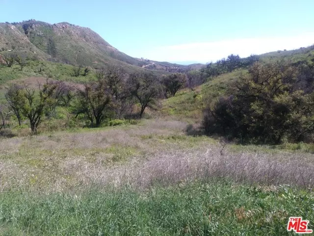 2517 Encinal Canyon Road, Malibu, CA 90265